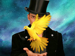 Allstars Of Magic