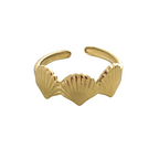 Anillo Coquille