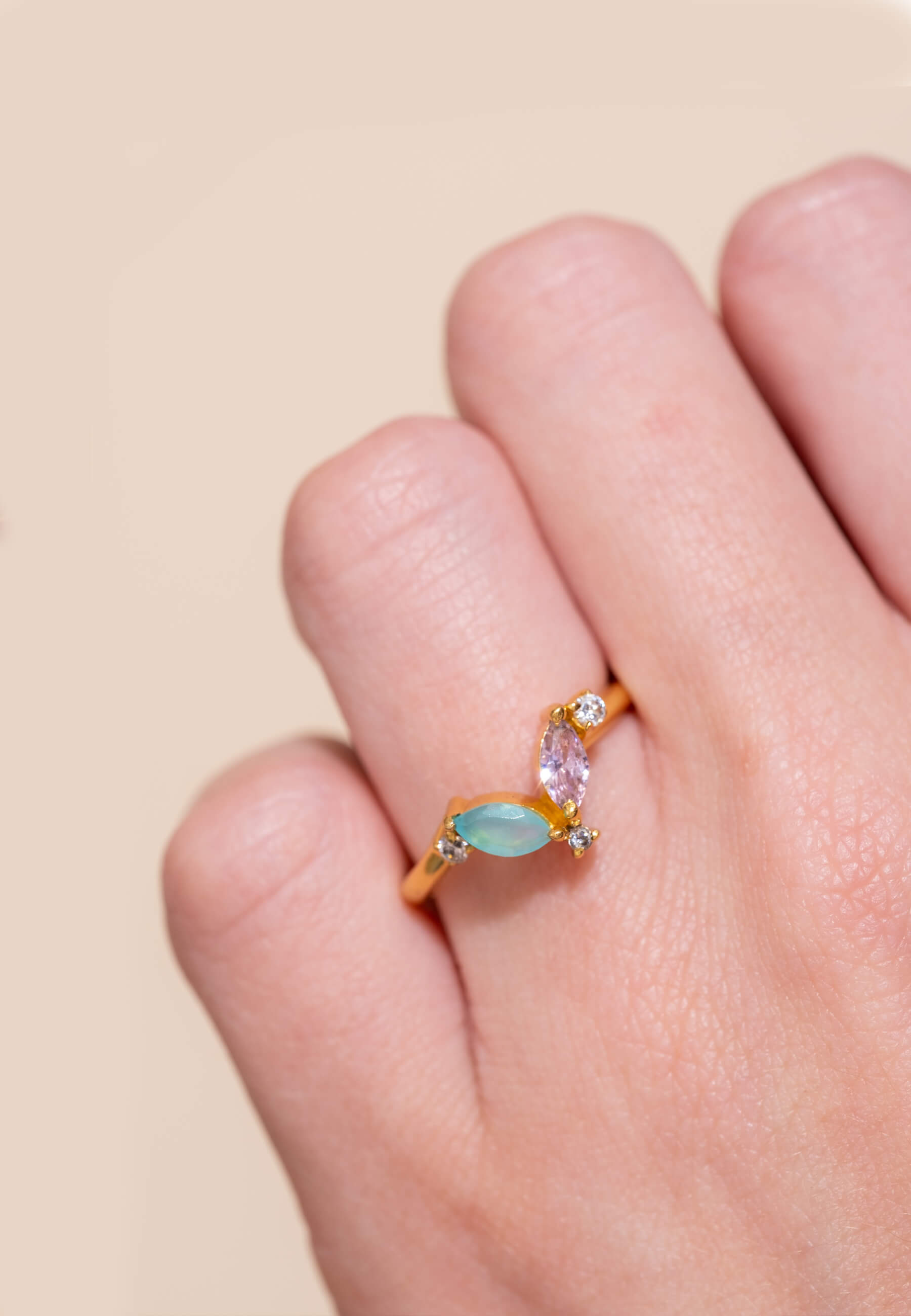 Anillo Denali