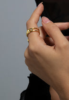 Anillo Moon Circulation