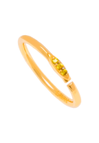 Anillo Haddou