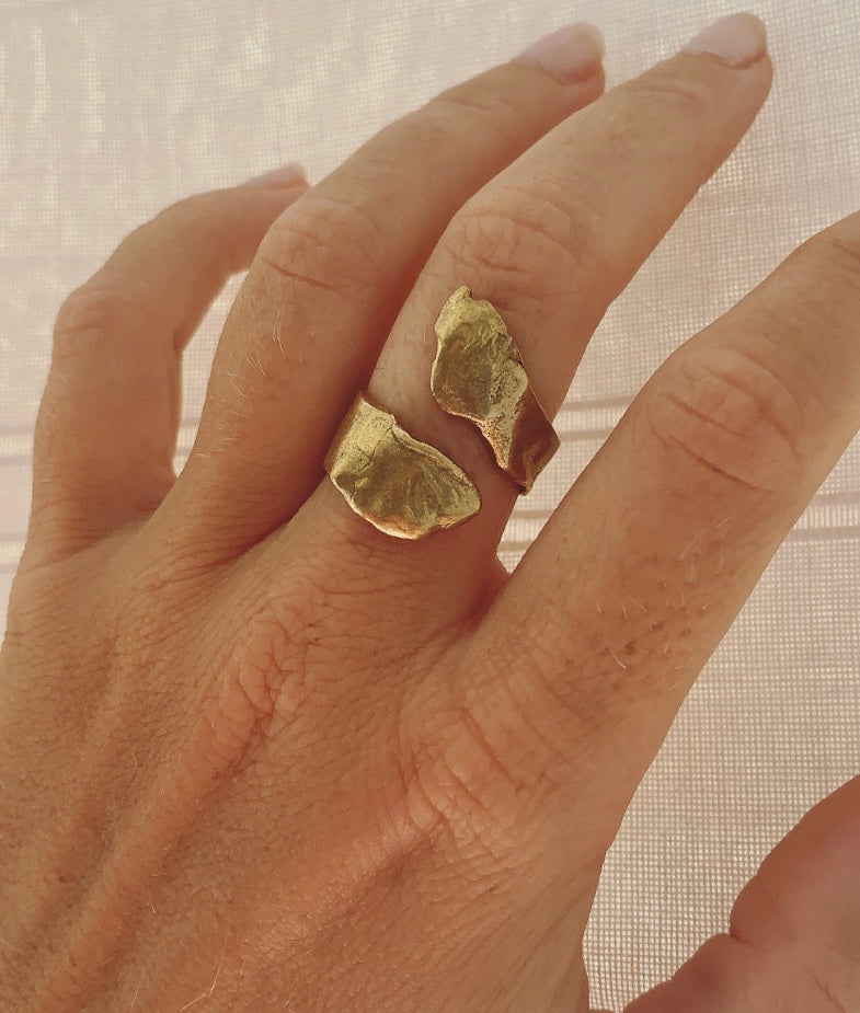 ANILLO SELVA