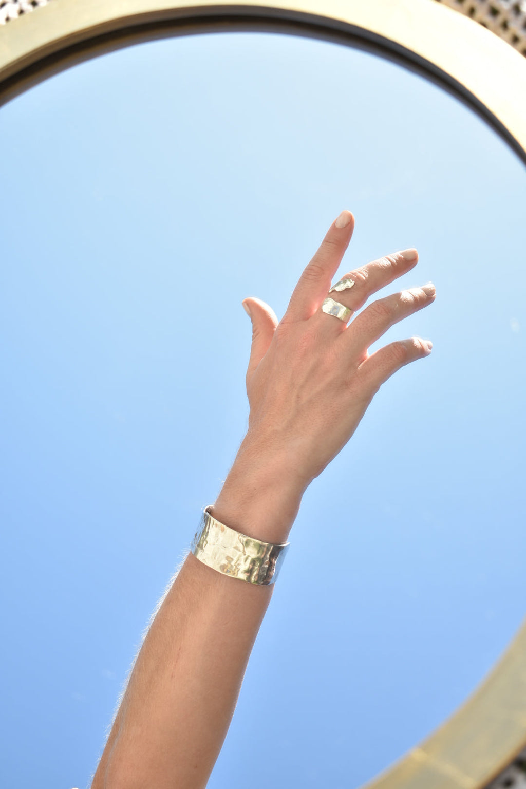 ANILLO SELVA