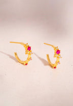 Aros Orchid