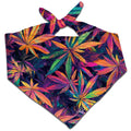 Lucid Haze Bandana