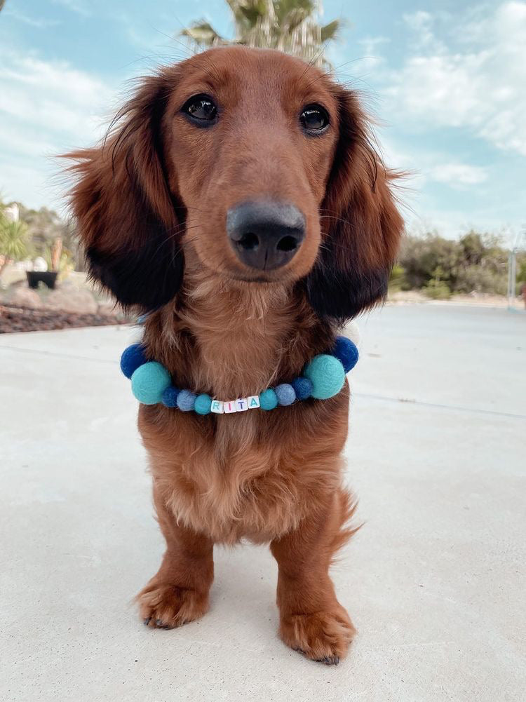 Collare personalizzato per cani con pon pon - Blu