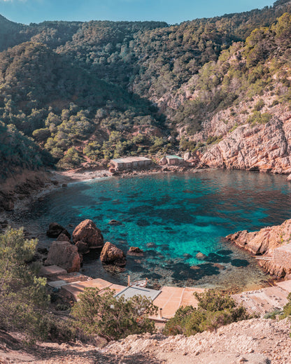 Master the Art of Paella: A Culinary Journey in Ibiza