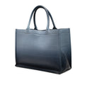Medium Ombre Embossed Leather Book Tote