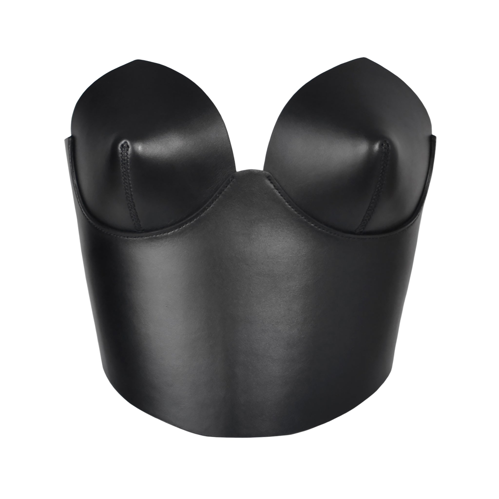 Black Leather Overbust Corset