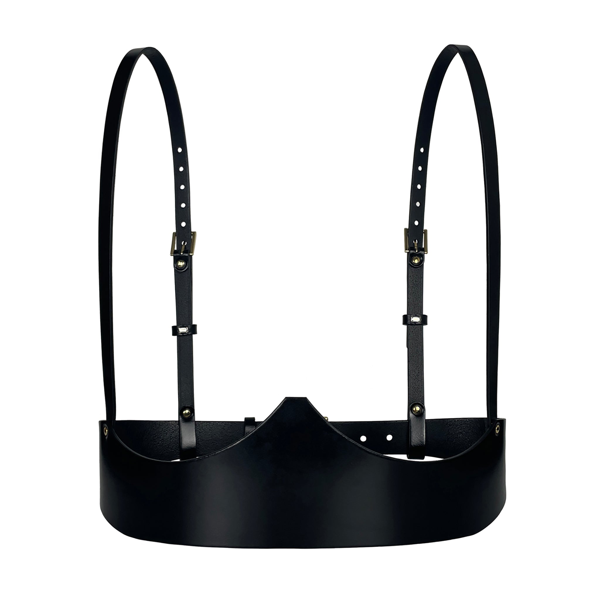 Black Leather Underbust Harness