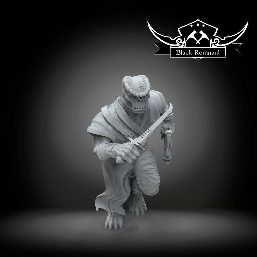 Bodyguard of blue admiral, Black Remnant