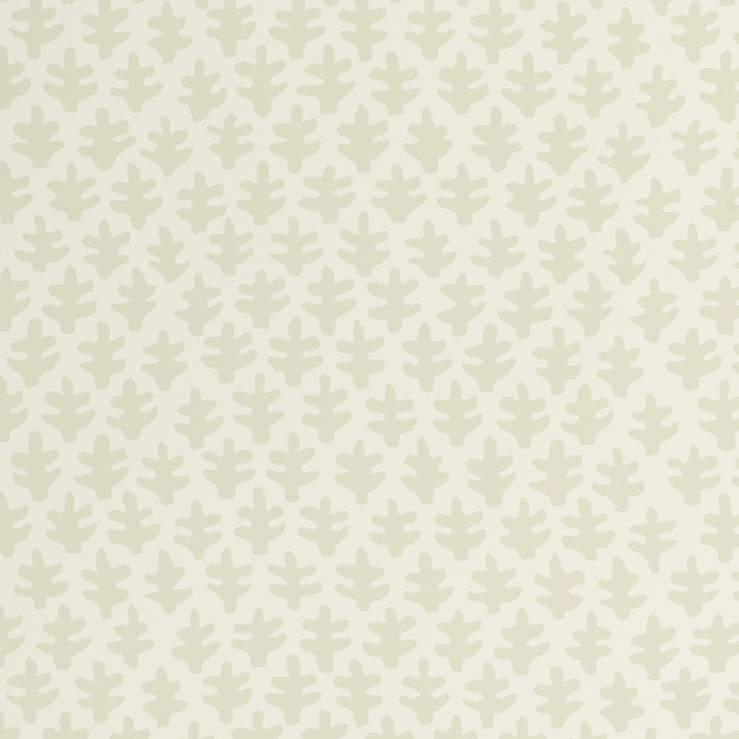 Burmese Wallpaper Sage Brush Green By Sister Parish Design
