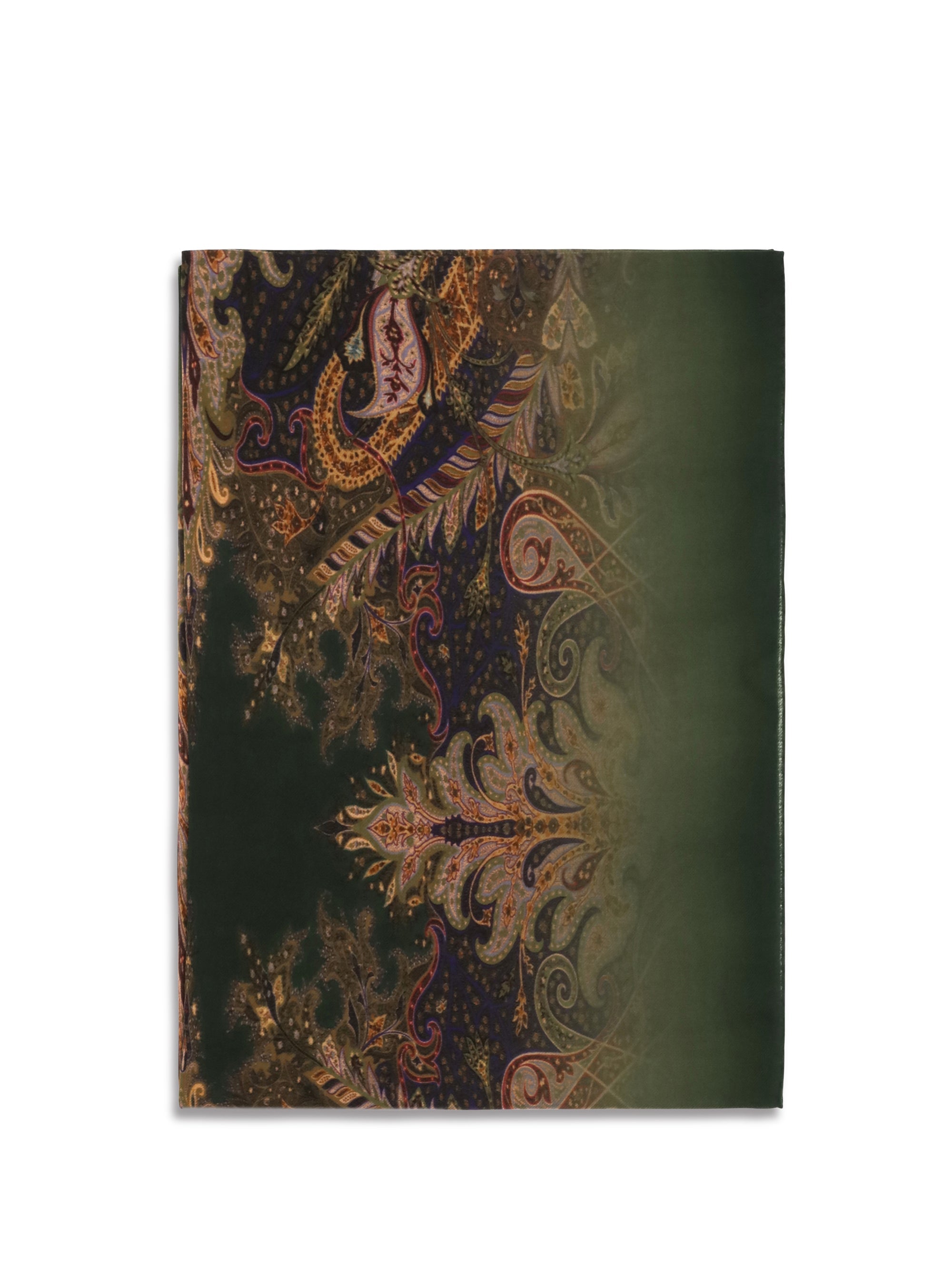 Etro Orfeo Scarf — Green