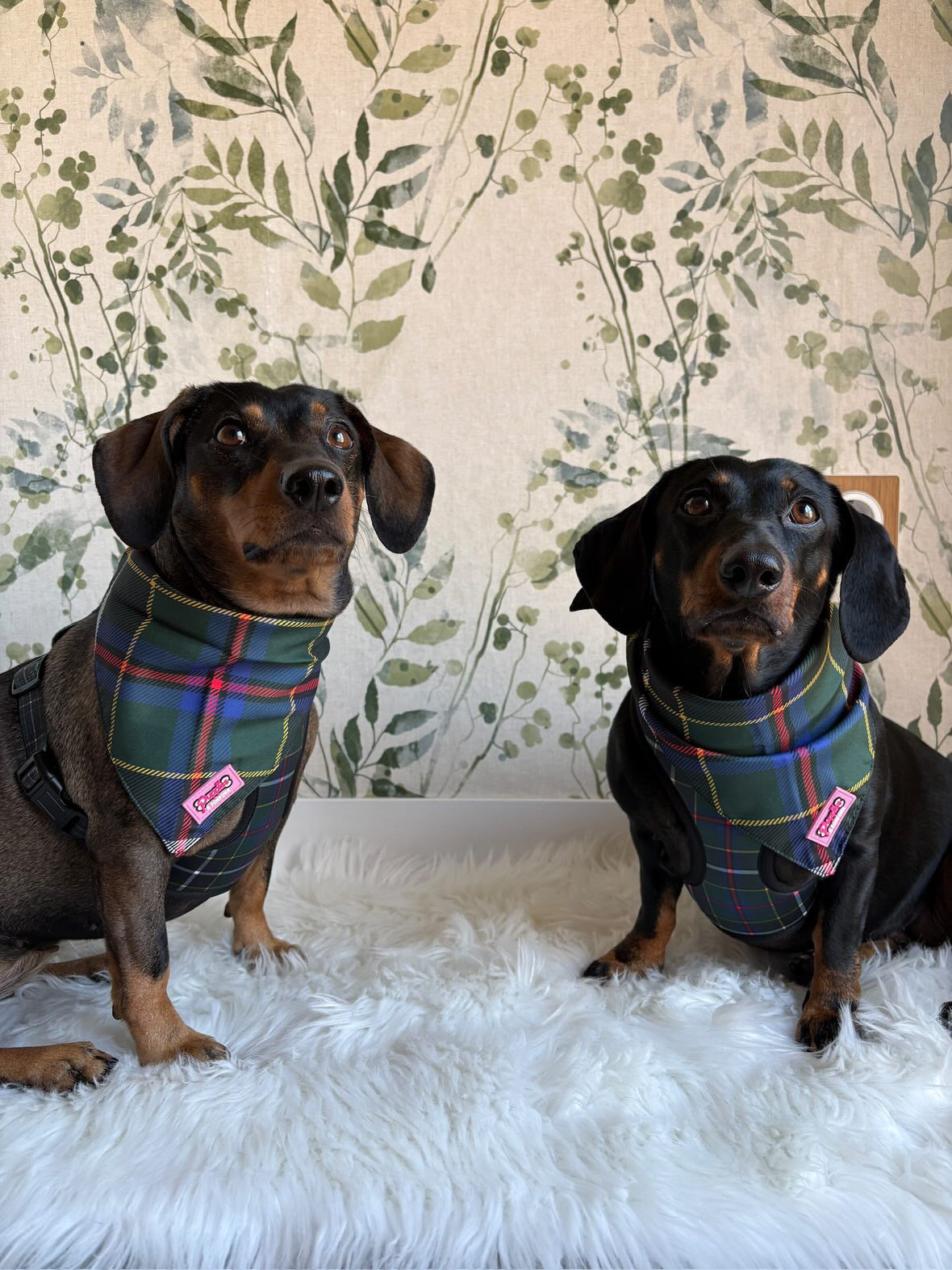 Cornish Hunting Tartan - Bandana - Tie-on