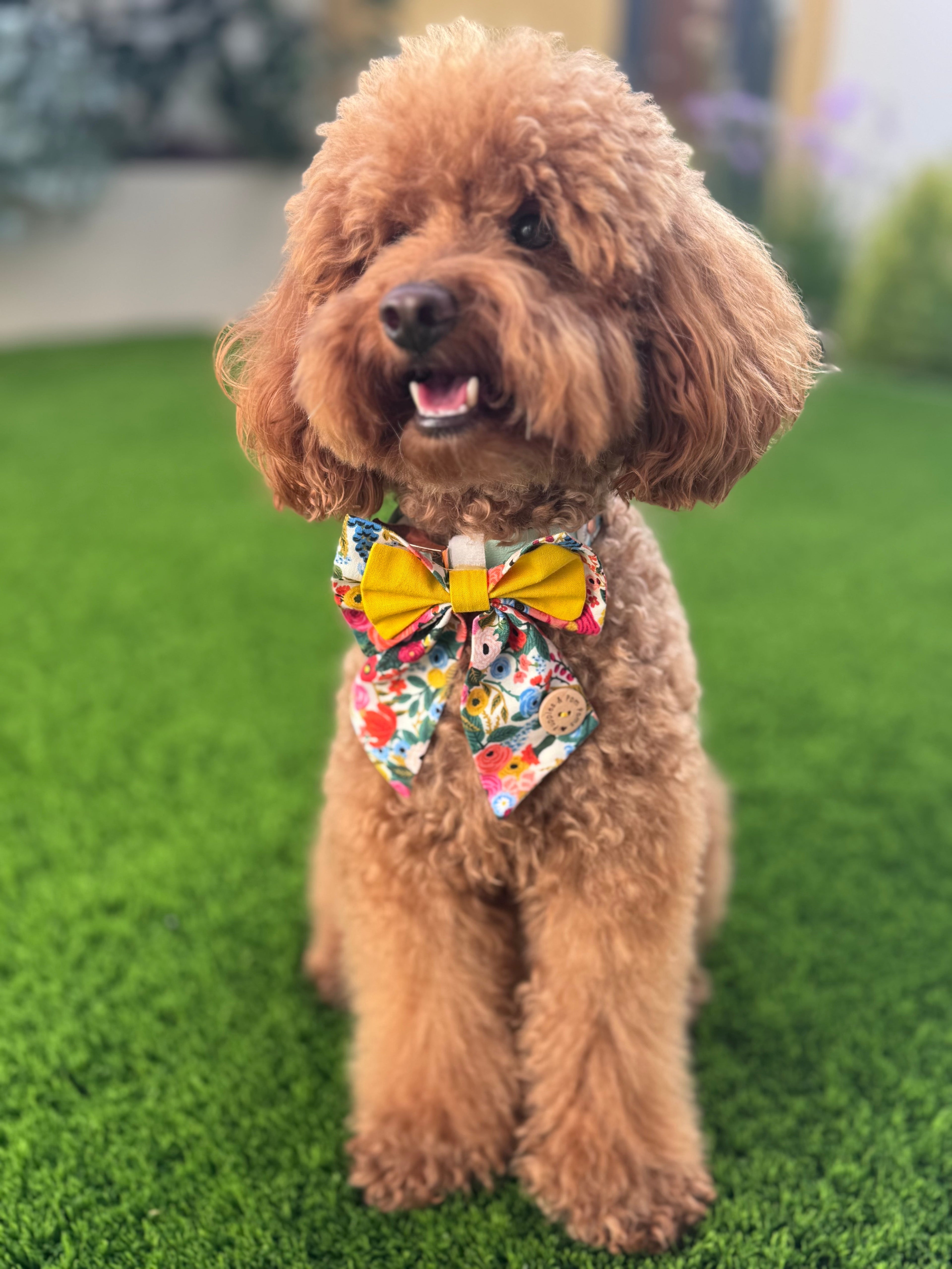 Handmade Dog Sailer Bow Tie - Double Bow - Small  "Garden Party"