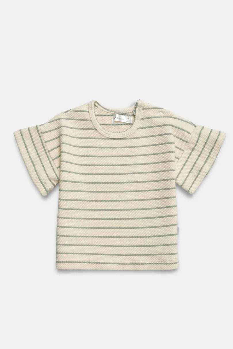 CAMISETA DANTE