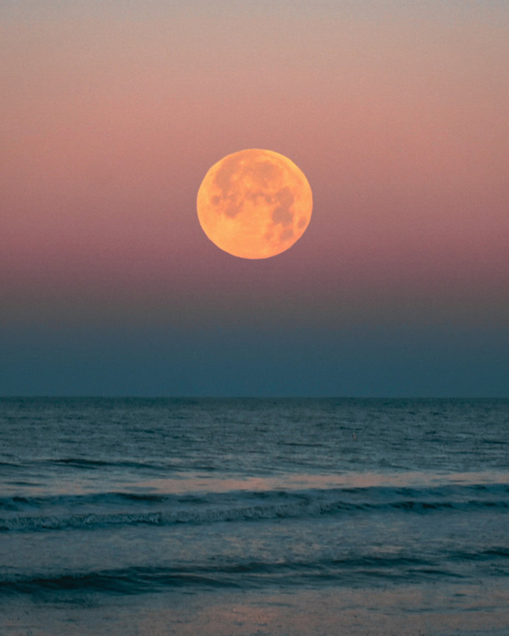 Experience the Magic of Ibiza: Enjoy a Moonlit Dinner in the Countryside