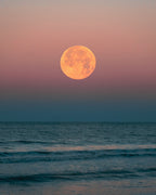 Experience the Magic of Ibiza: Enjoy a Moonlit Dinner in the Countryside