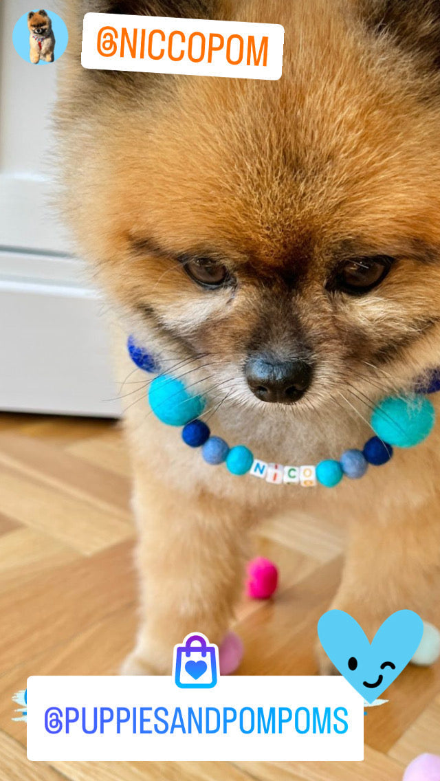 Collare personalizzato per cani con pon pon - Blu