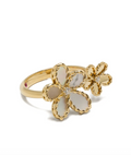 Roberto Coin 18K Ring — Gold