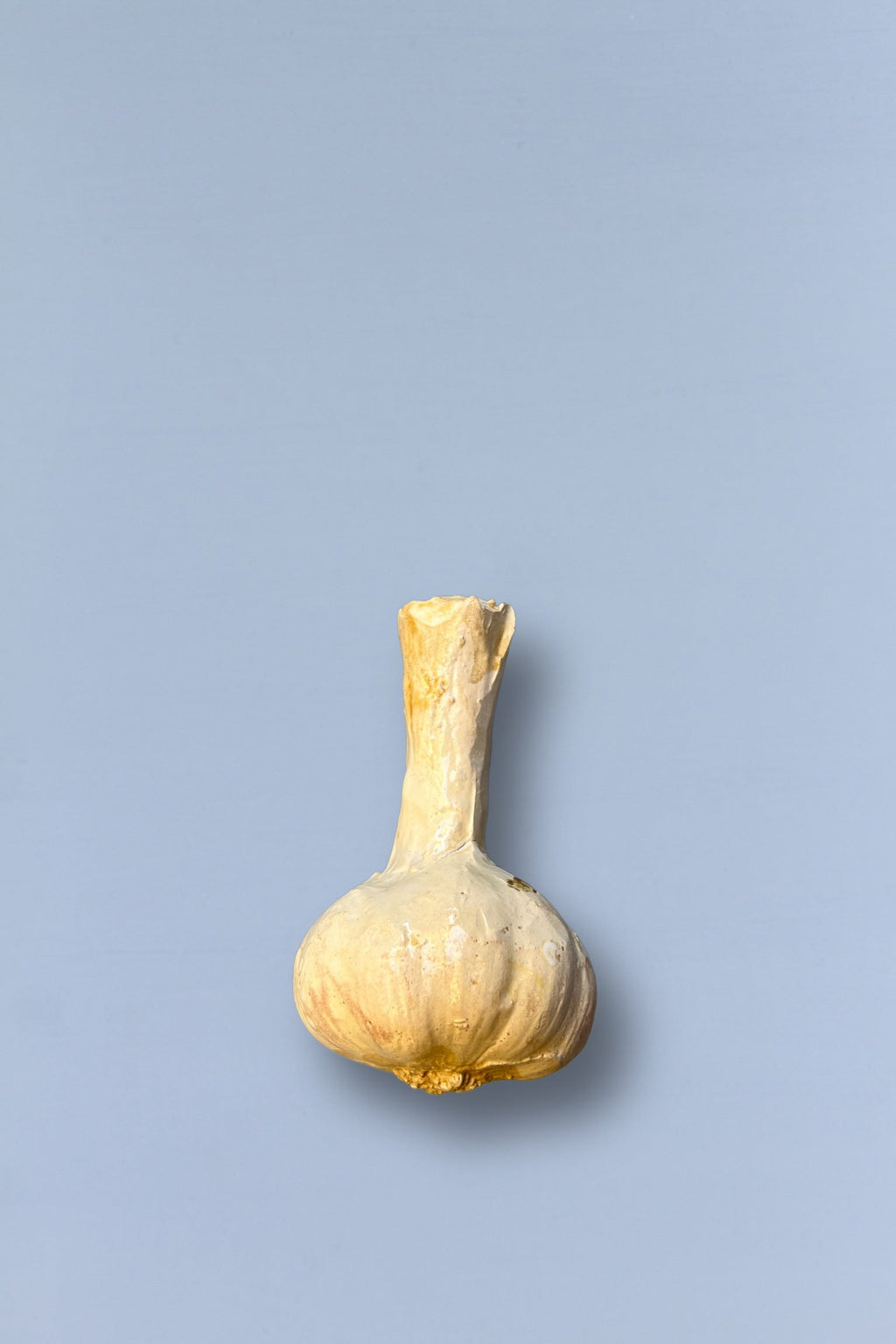 Ajo réplica de cerámica esmaltada