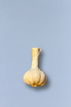 Ajo réplica de cerámica esmaltada