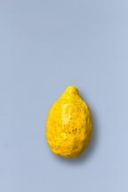 Limón réplica de cerámica esmaltada