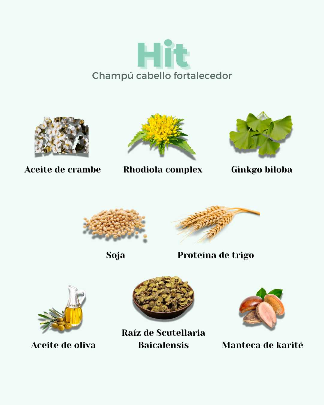 Champú Sólido ECO Fortalecedor Anticaída HIT