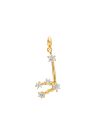 Charm Zodiaco Acuario
