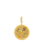 Charm Zodiaco Acuario