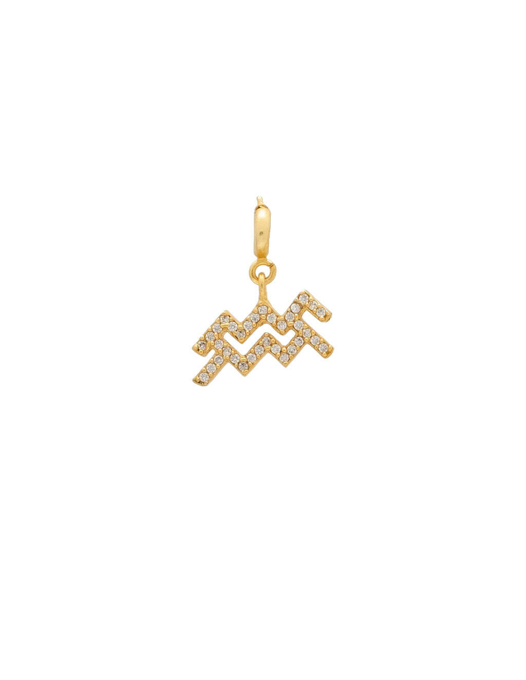 Charm Zodiaco Acuario