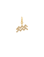 Charm Zodiaco Acuario