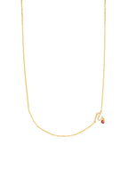 Collar Inicial N