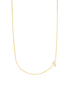 Collar Inicial P