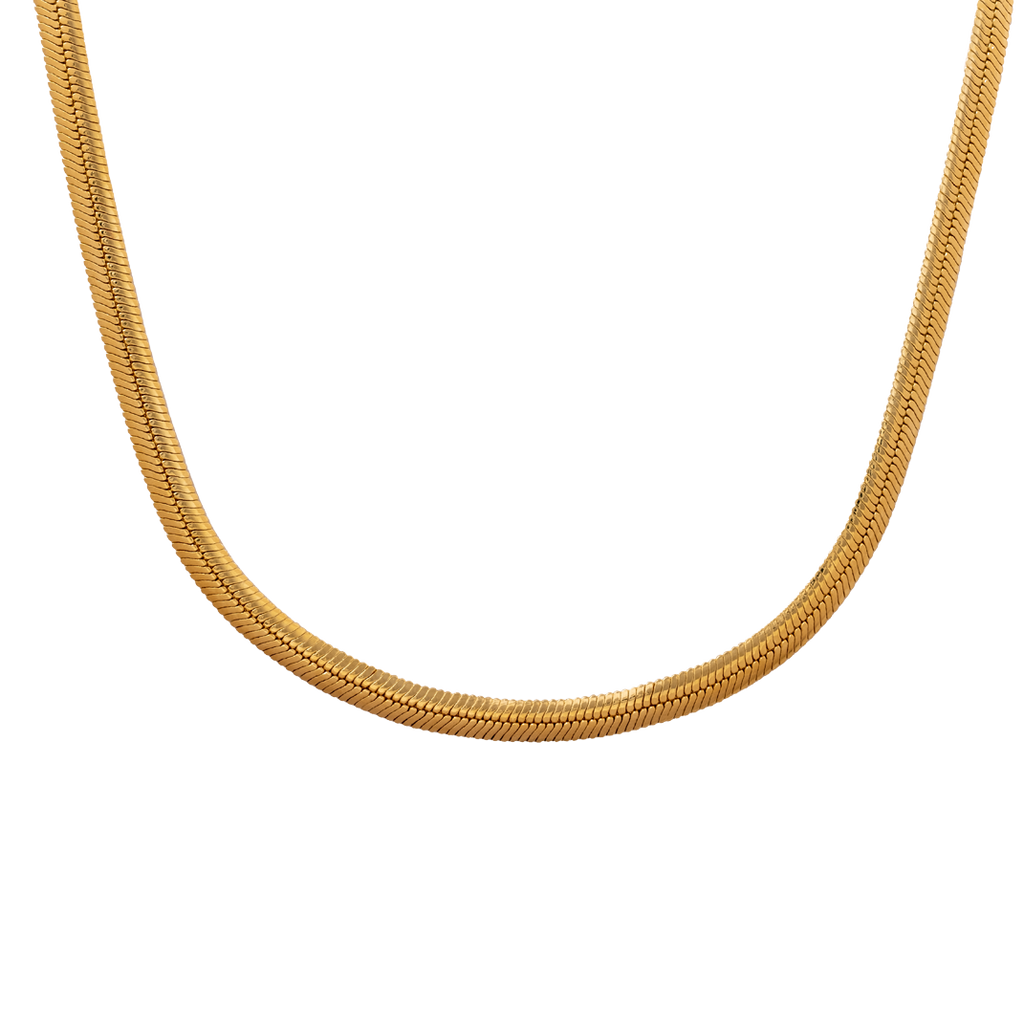 Collar Snake Big