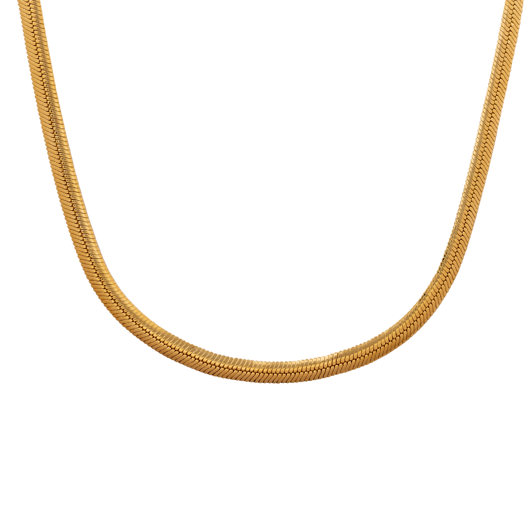 Collar Snake Big