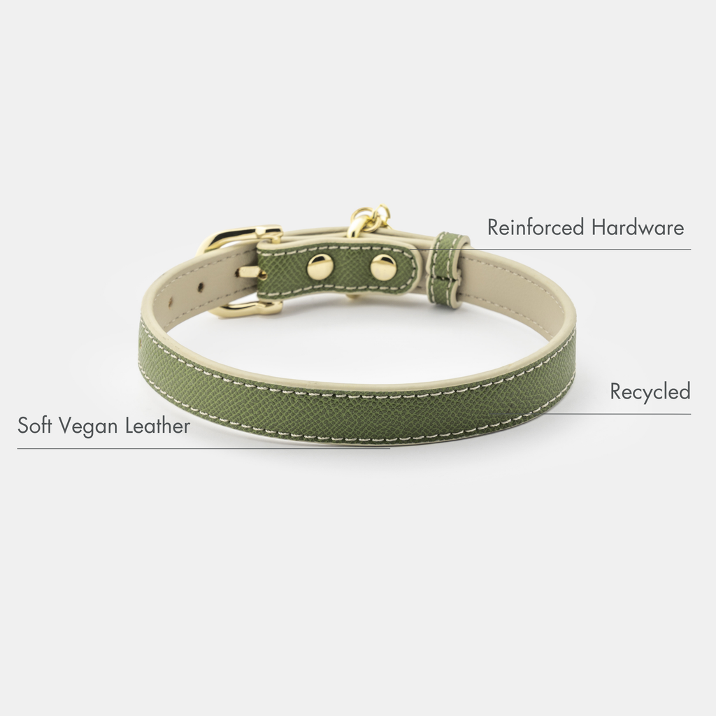 Collar Oliva