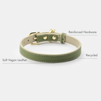 Collar Oliva