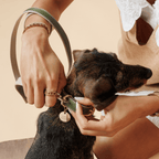 Collar Oliva