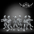 Commerce guild commandos, Black Remnant