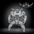 Companion heavy droid, Black Remnant