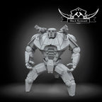 Companion heavy droid, Black Remnant