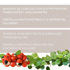 Crema Corporal Calor Activo con Guaraná y Centella Asiática - 500 ml