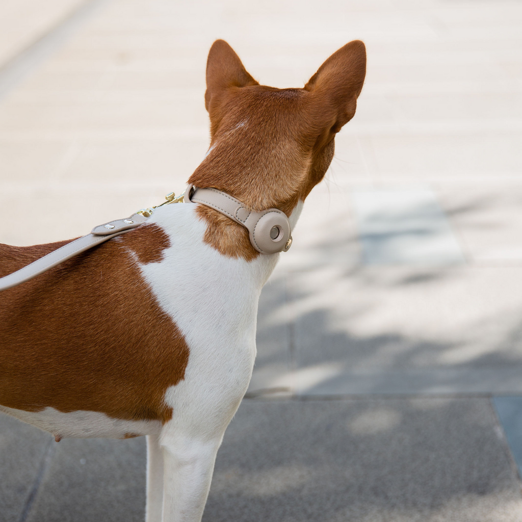 Collar Airtag Beige