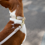 Collar Airtag Beige