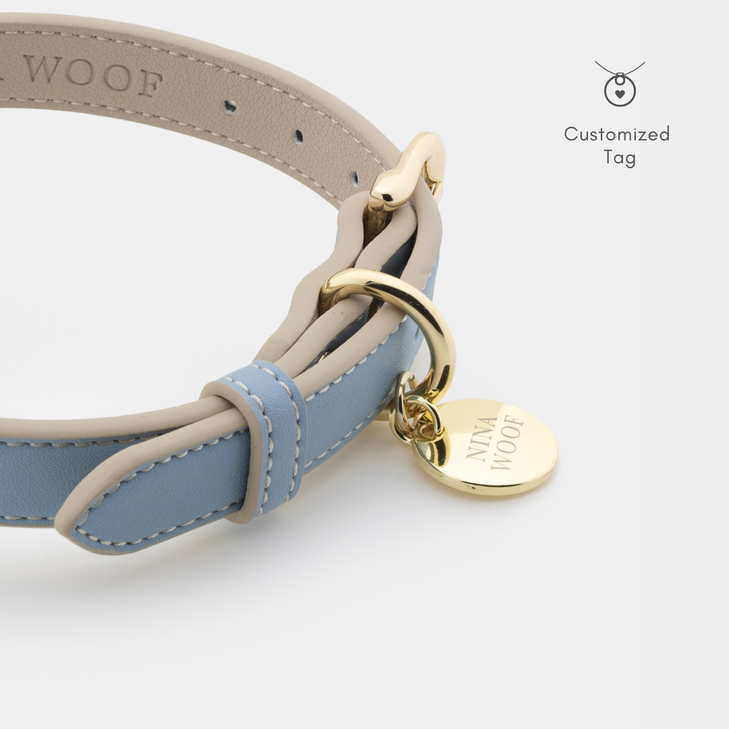 Collar Airtag Azul