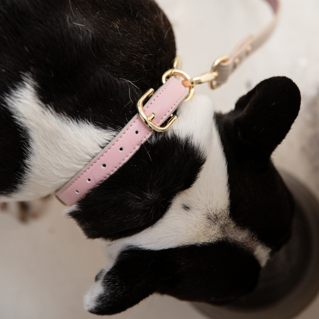Collar Airtag Rosa Claro
