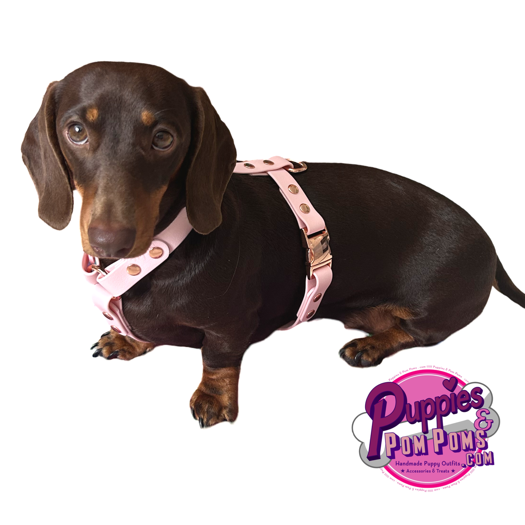 Handmade Custom Fitted Biothane Dog Harness - Vegan Leather / Waterproof Biothane