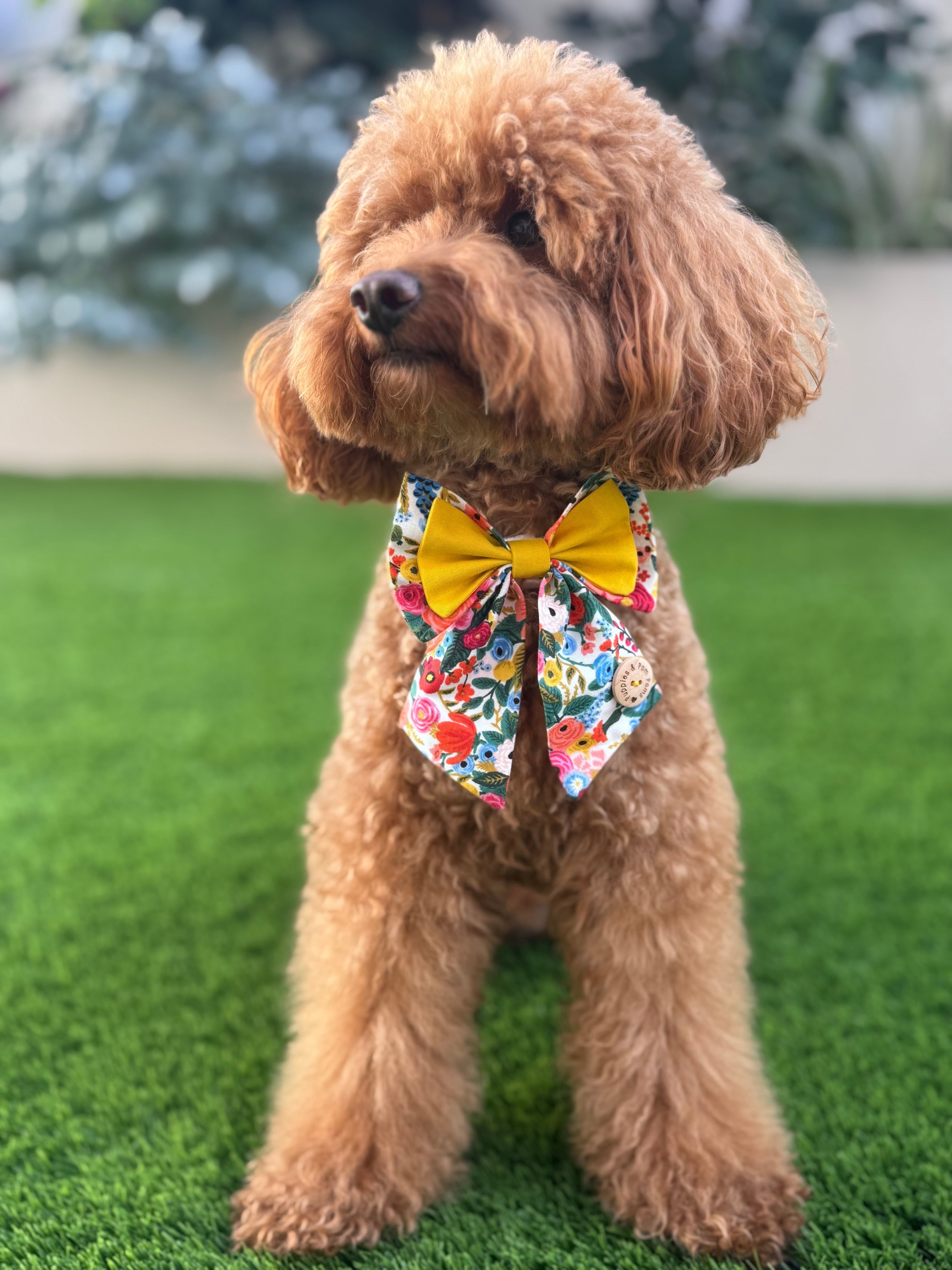 Handmade Dog Sailer Bow Tie - Double Bow - Small  "Garden Party"
