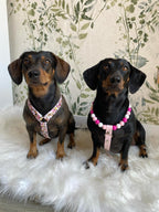 Handmade Bee Happy Dachshunds  Biothane Dog Harness - Vegan Leather / Waterproof Biothane